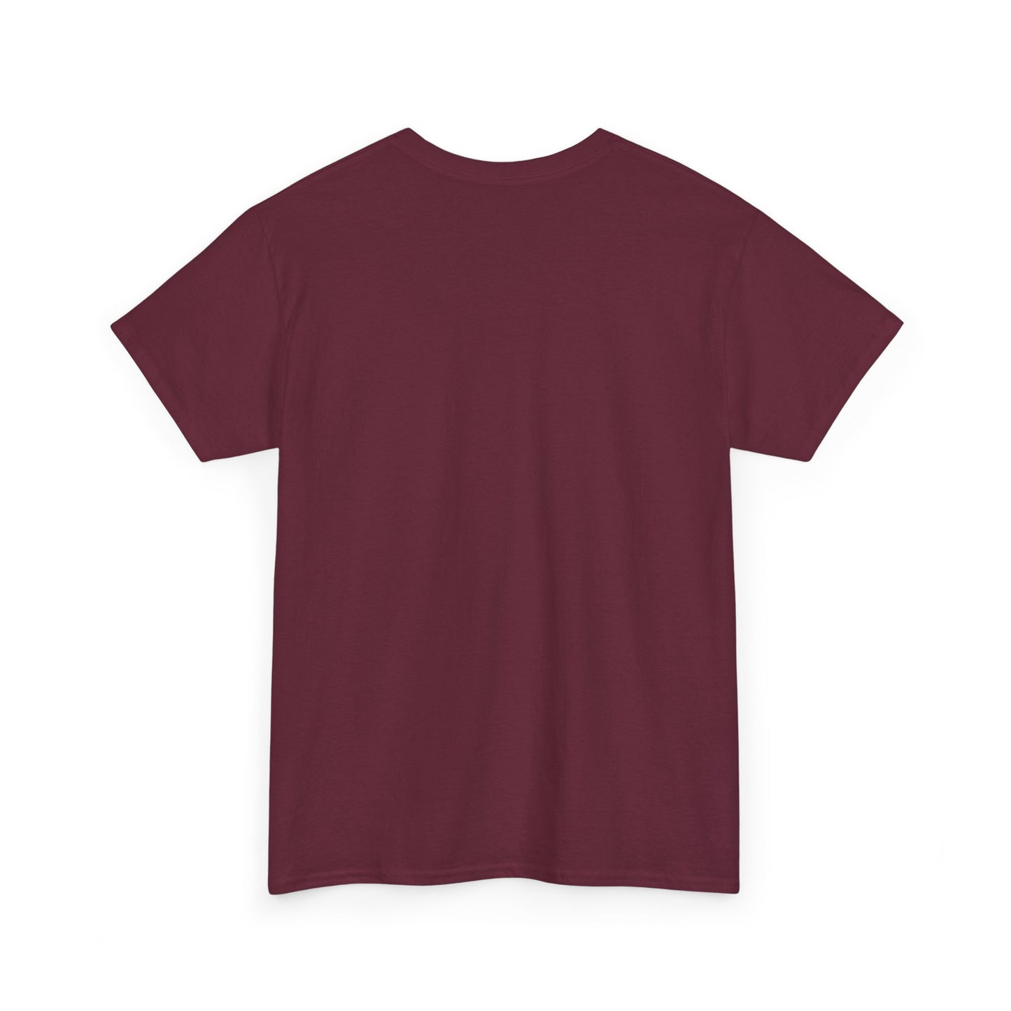 "TICKET TO DREAM BIGGER" Heavy Cotton Tee