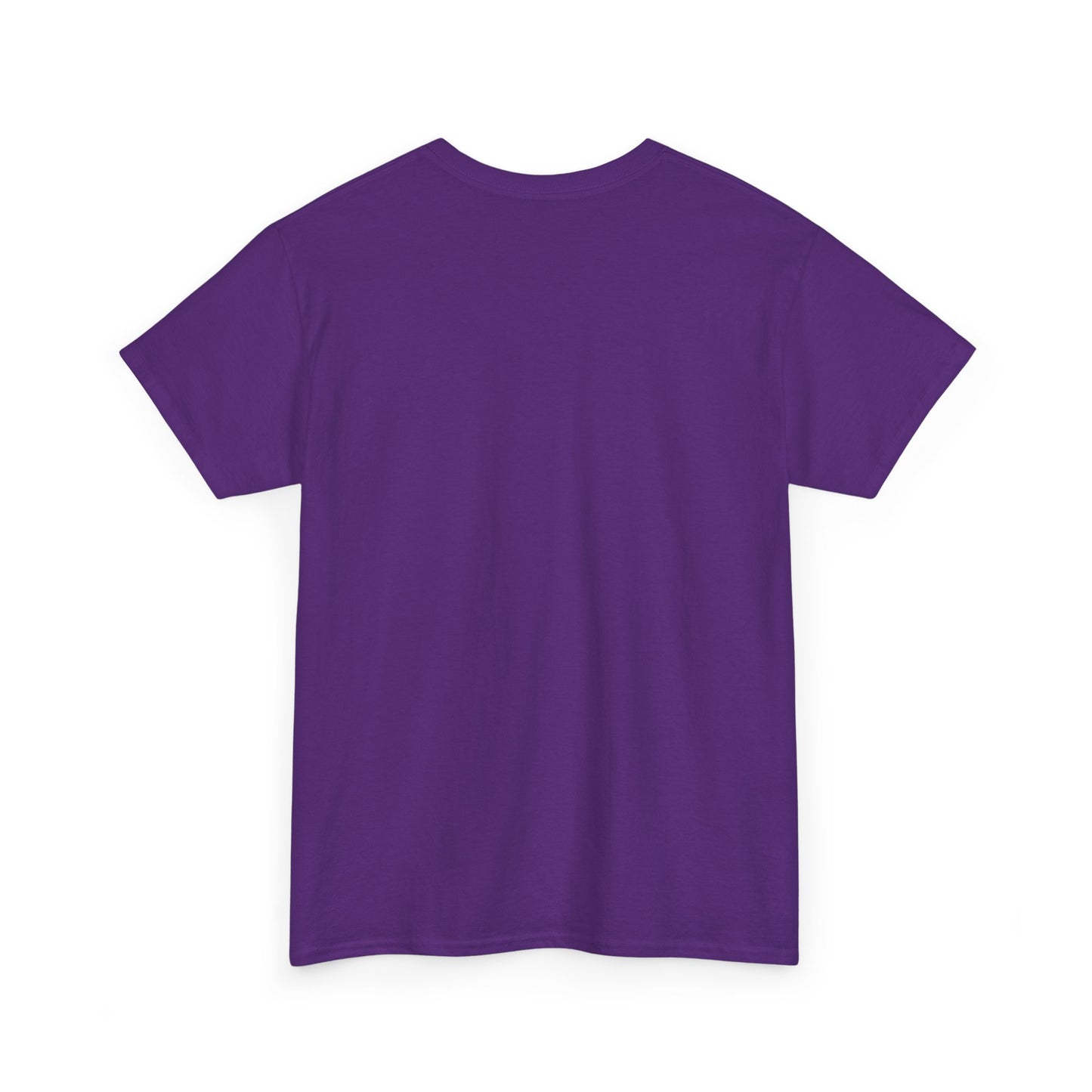 "TICKET TO DREAM BIGGER" Heavy Cotton Tee