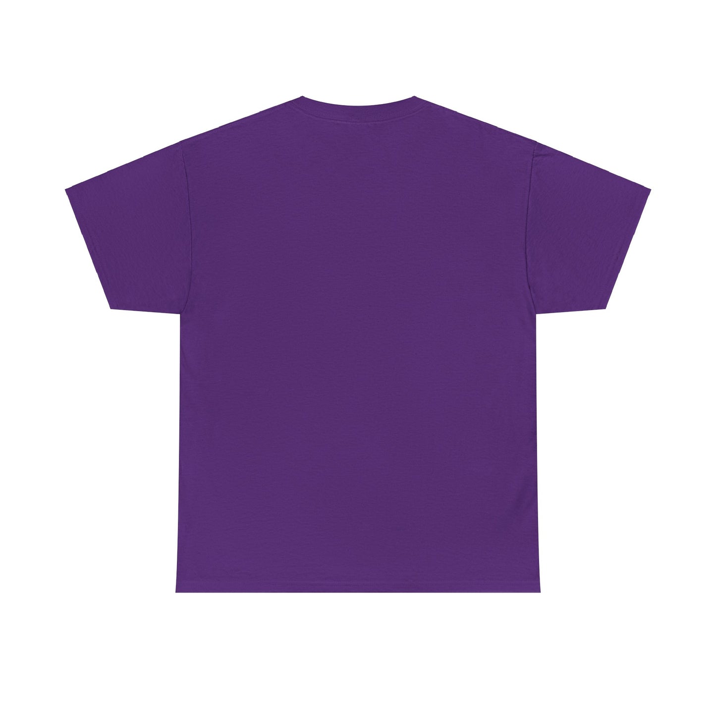 "TICKET TO DREAM BIGGER" Heavy Cotton Tee