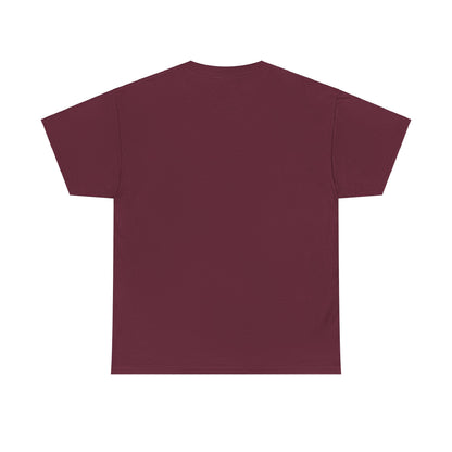 "TICKET TO DREAM BIGGER" Heavy Cotton Tee